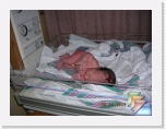 2006-08-08 Pavle's birth * (28 Slides)